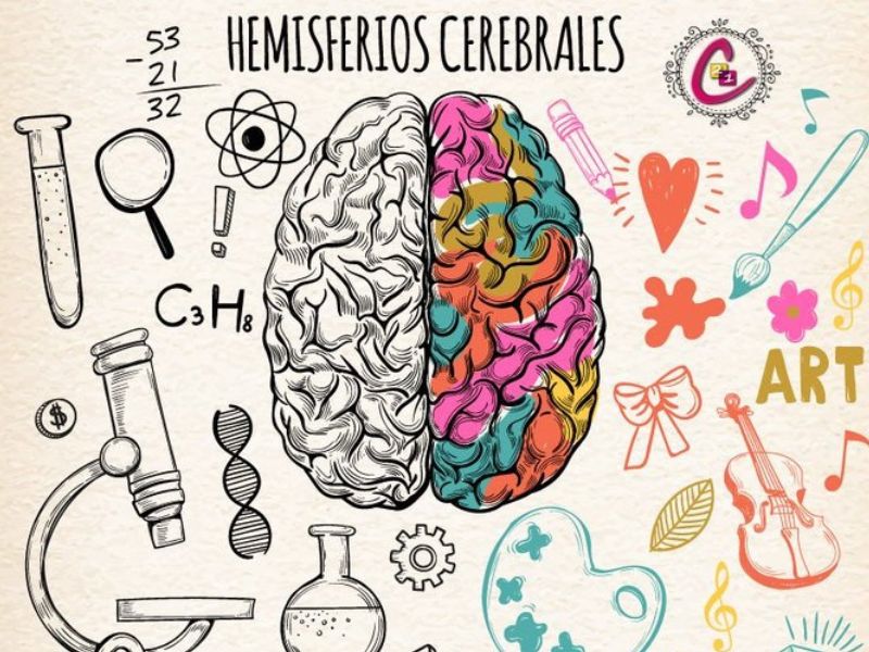 Activando nuestro cerebro: ¿Qué es el neuromarketing?